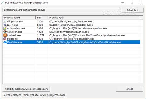 DLL Injector 1.0 Download